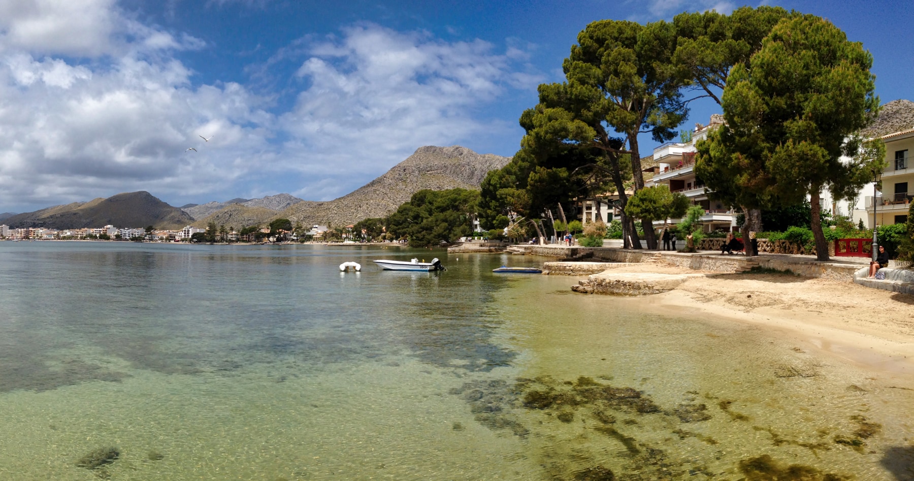 What To SEE And DO In Puerto De Pollensa In 2023 Balearity   Puerto Pollensa Main 